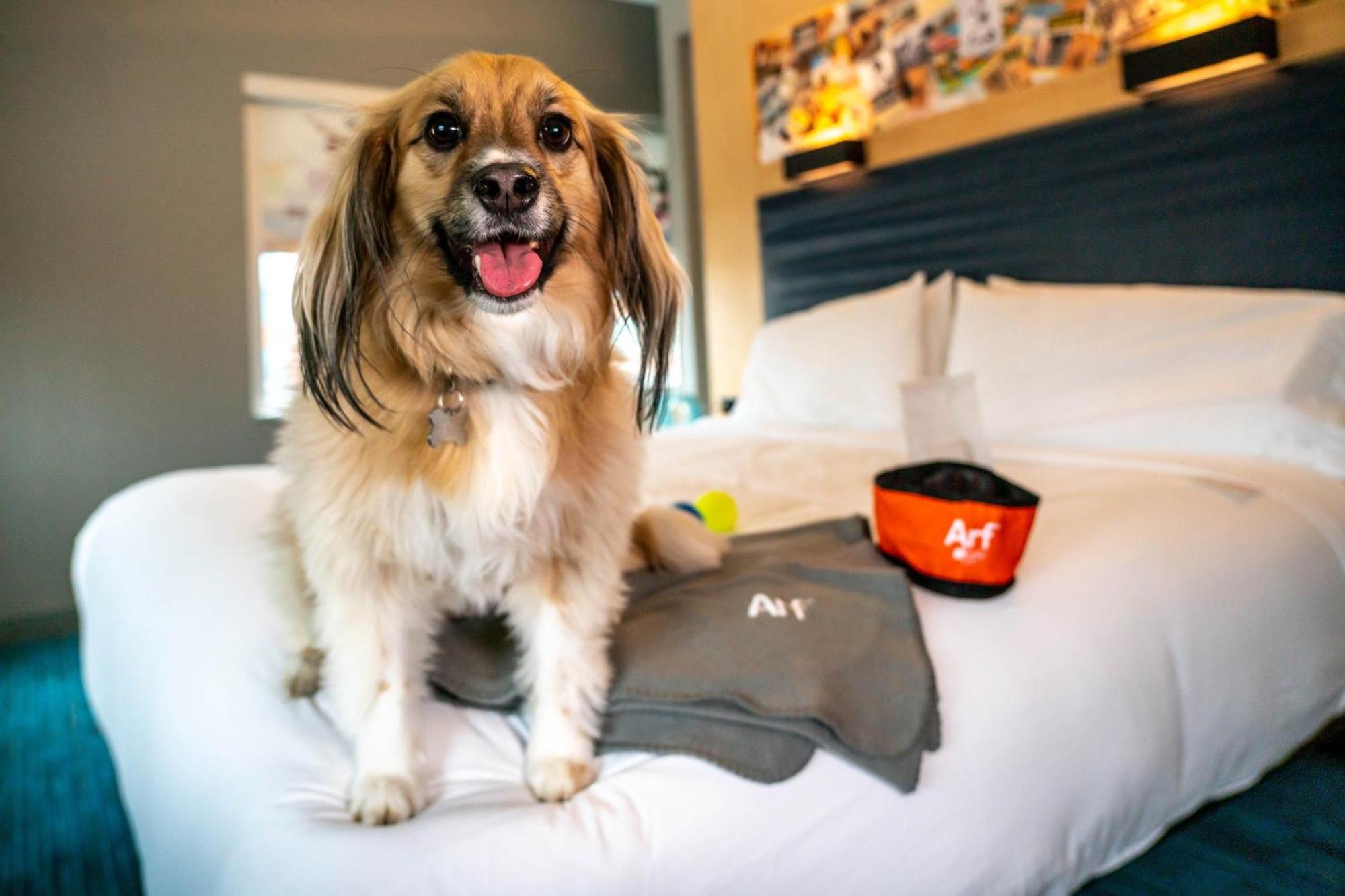 Aloft Louisville Downtown Eksteriør bilde